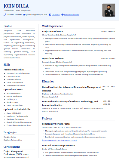 Europass Blue template preview